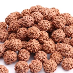 Rudraksha Tulabharam
