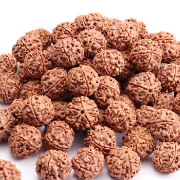 Rudraksha Tulabharam