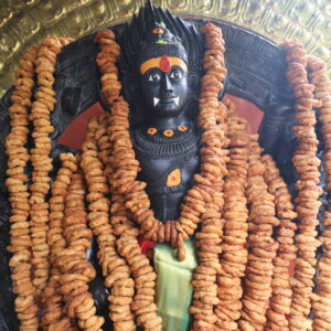 Kalabhairava Jayanthi - Vada mala and Lemon Mala