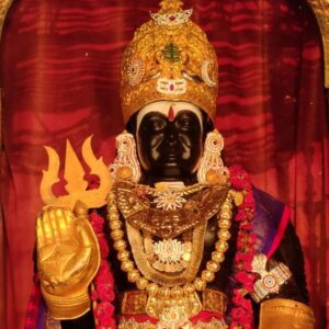 Coronation of THE SUPREME PONTIFF OF HINDUISM BHAGAVAN SRI NITHYANANDA PARAMASHIVAM