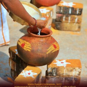 Shivasurya Puja, Pongal Naivedyam Seva